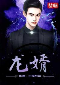 龙婿陆凡封面